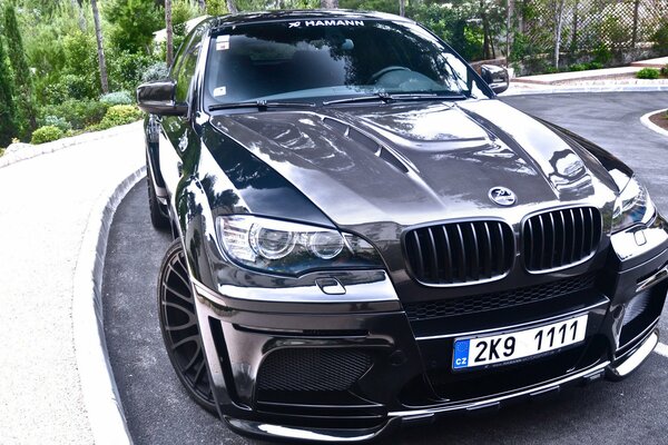 Plates and rims on a black bmw x6