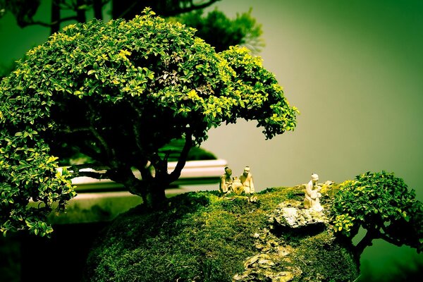 Hermosa composición de figuras y bonsai