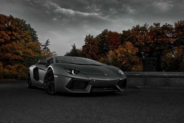 Lamborghini steht im Herbst auf der Straße