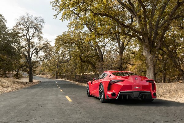 Rear view of a red car on the road