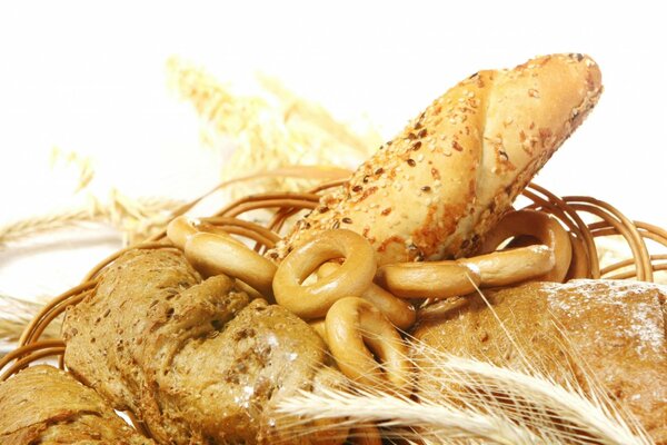 Pane e grano il nostro cibo