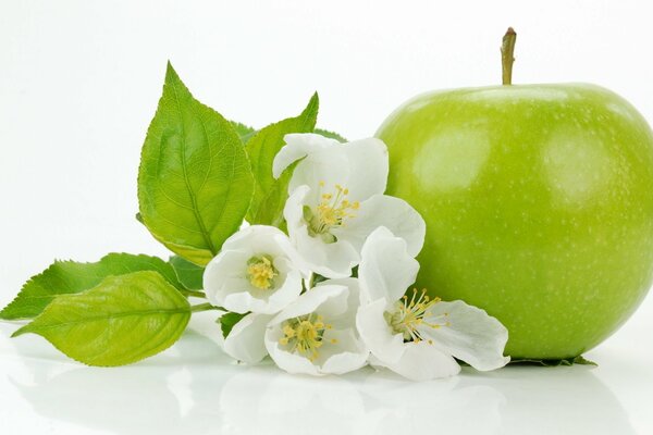 La combinación de una manzana verde suave y flores de Manzano blanco