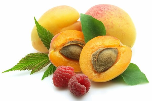 Whole apricot fruits and its cut appearance with a stone