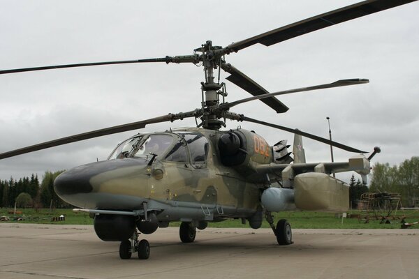 El helicóptero Ka-52 con grandes palas se encuentra en la pista