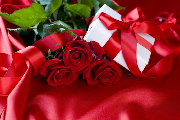 Rose rosse e regalo bianco con nastro rosso