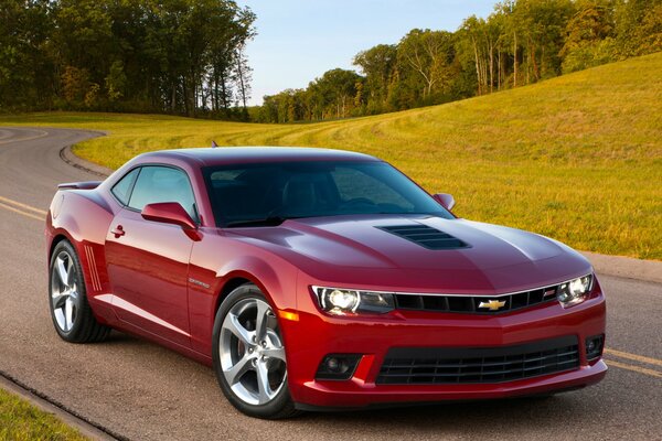 Chevrolet Camaro ss 2013 na tapetę