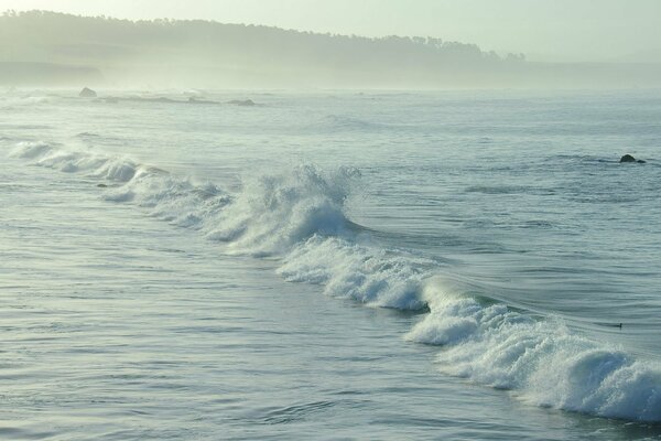 Olas del mar. Naturaleza. Niebla