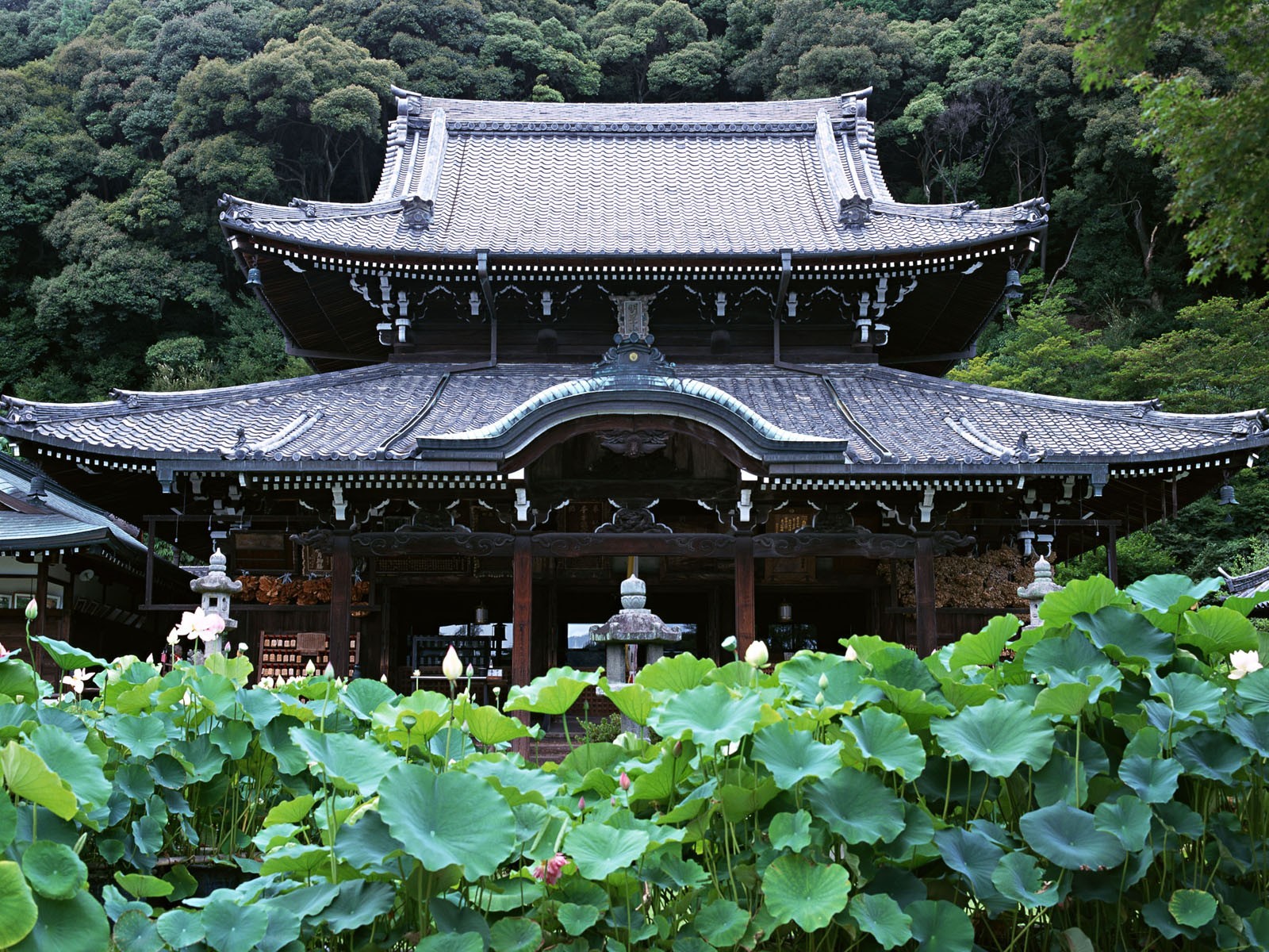 japon temple forêt