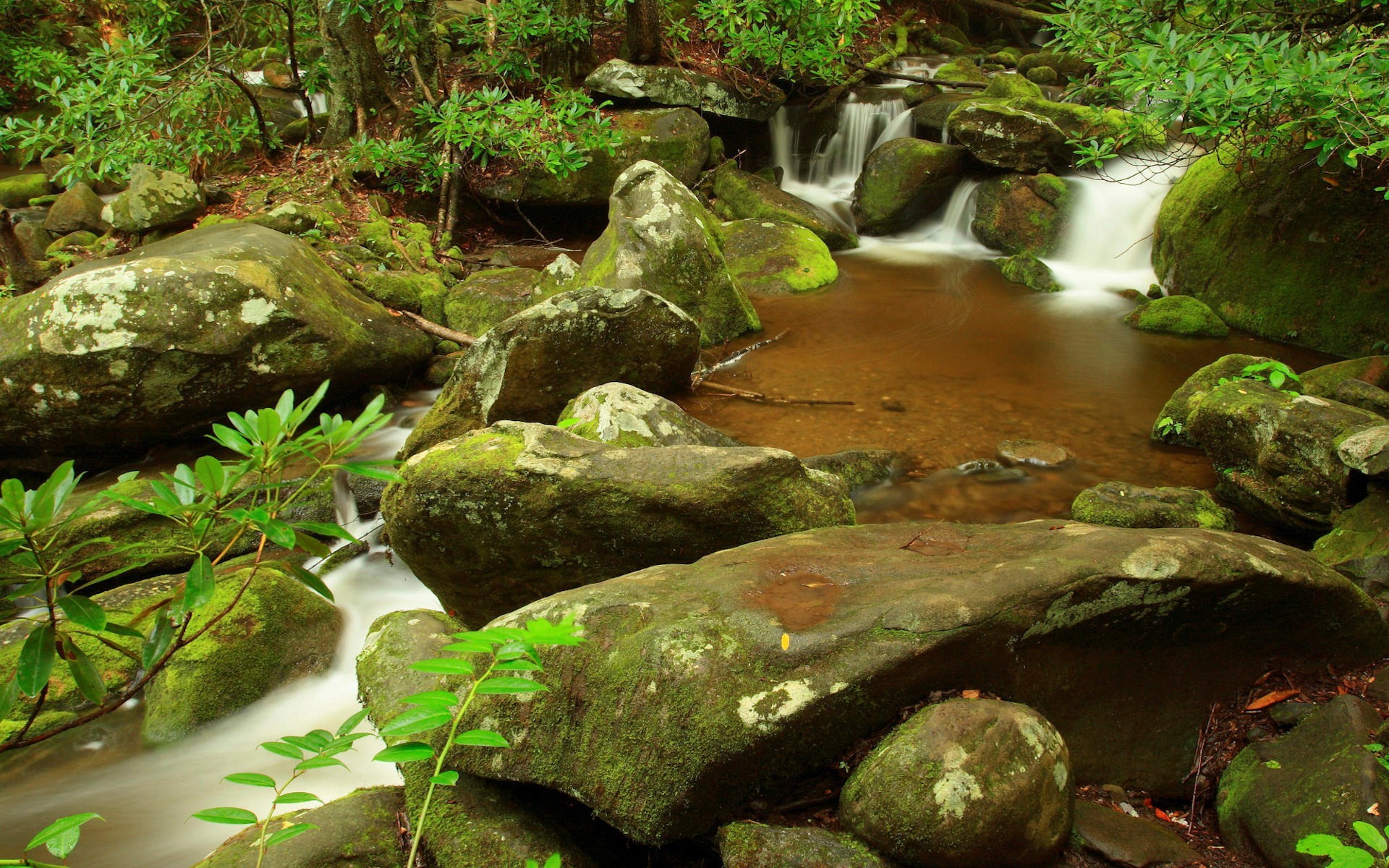 tones creek waterfall leave