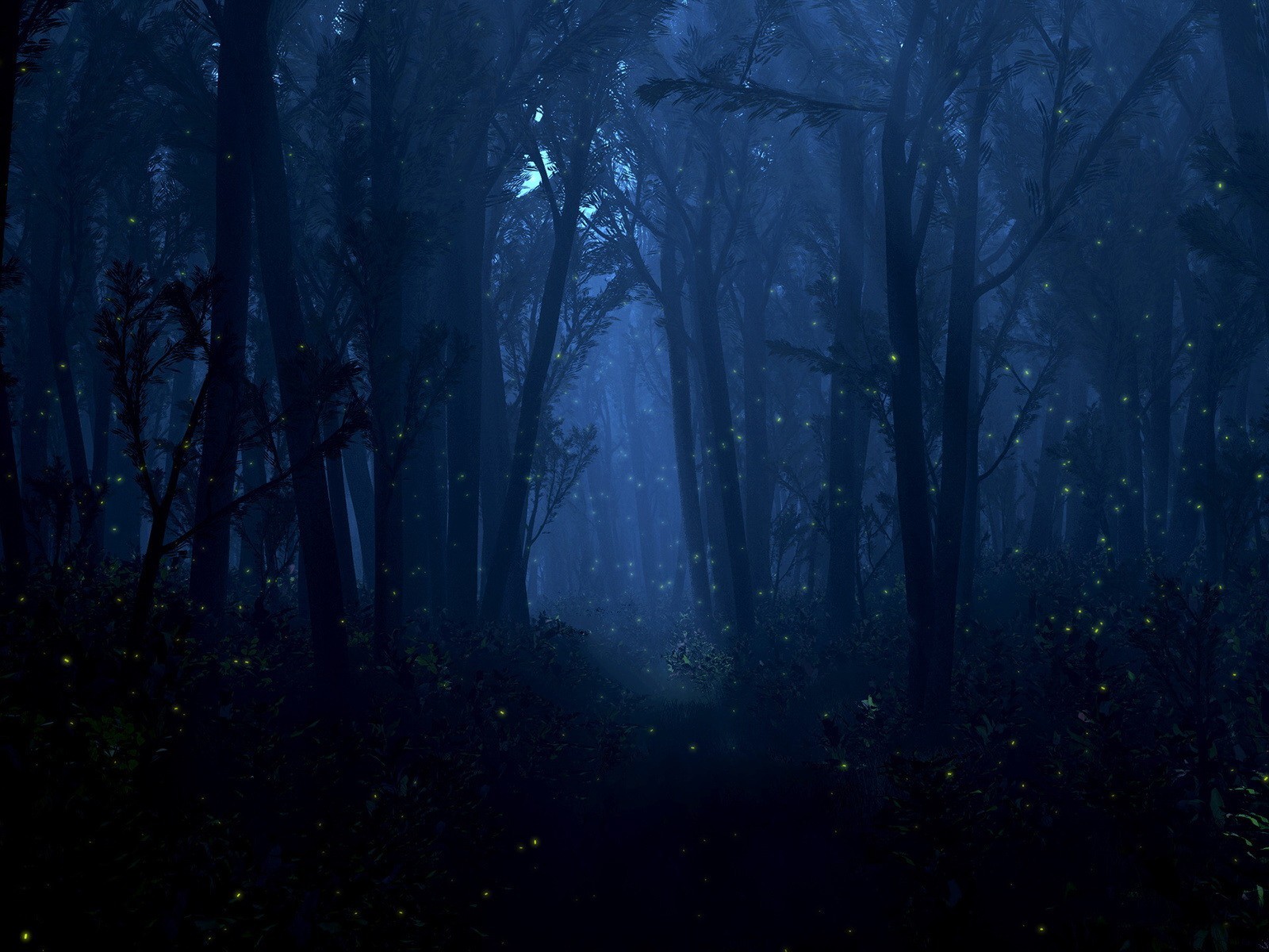 nacht glühwürmchen lichter licht wald bäume