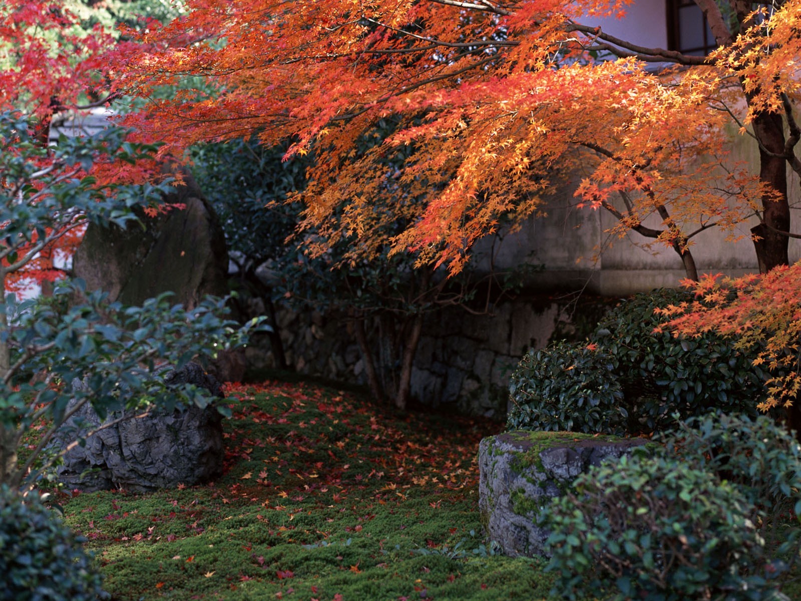 japan supplies autumn