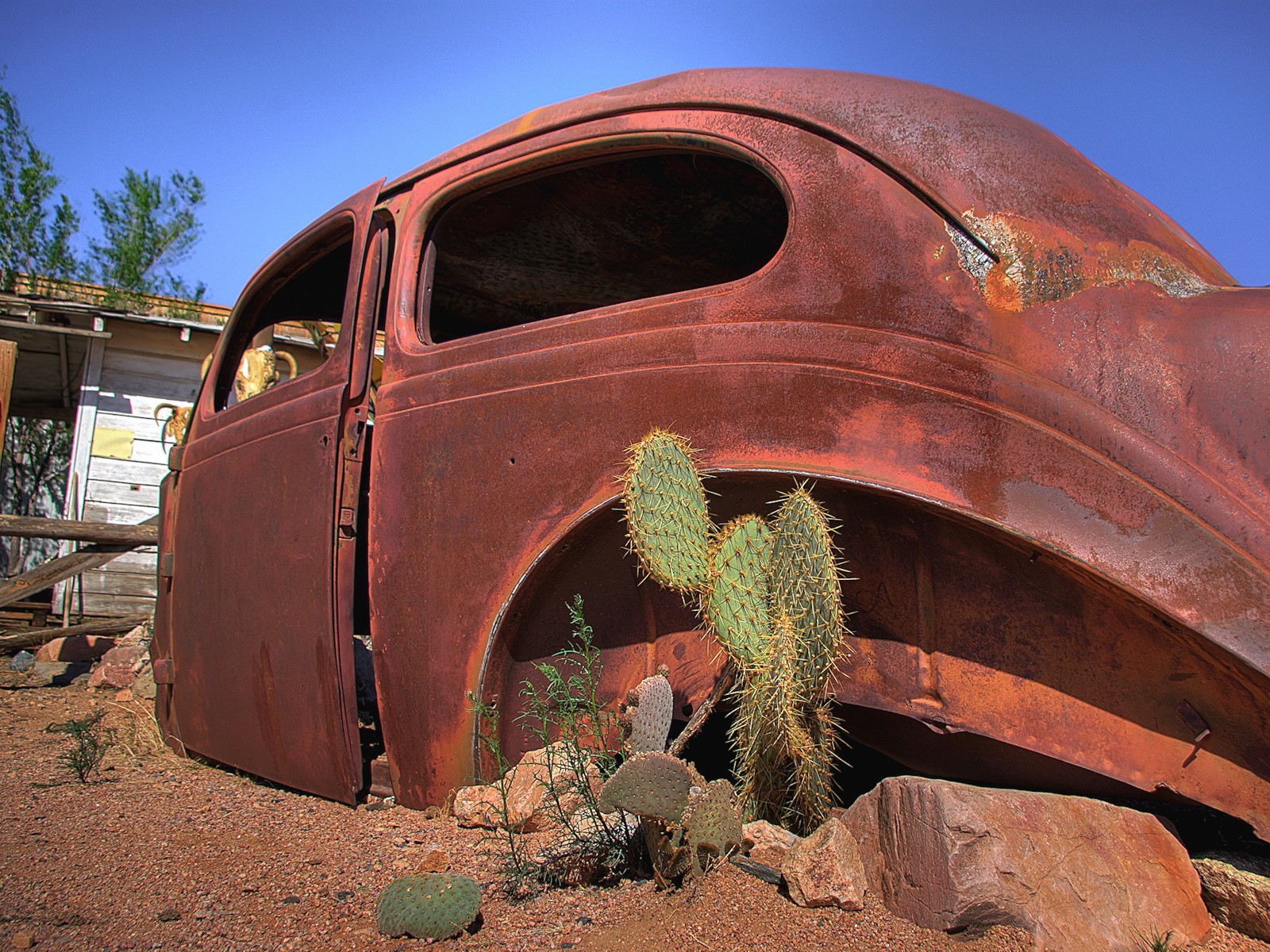 cactus vivienda auto óxido