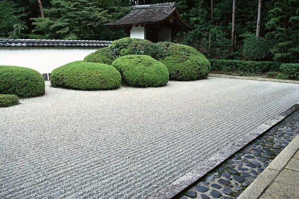 Jardín con arbustos de estilo japonés