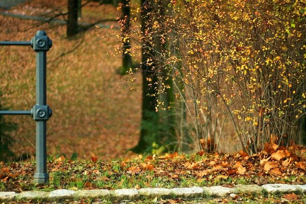 Jesienny park. żółte liście leżą na skałach