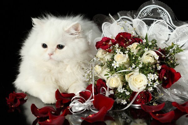 A picture of a white cat next to a bouquet of roses on a black background