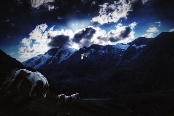 Chevaux sur fond de ciel nuageux nocturne