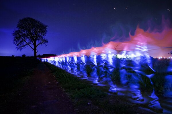 Luce blu dai piedi che vanno all albero nella notte