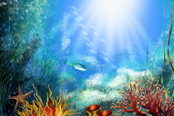 The sun s rays have reached the coral reef