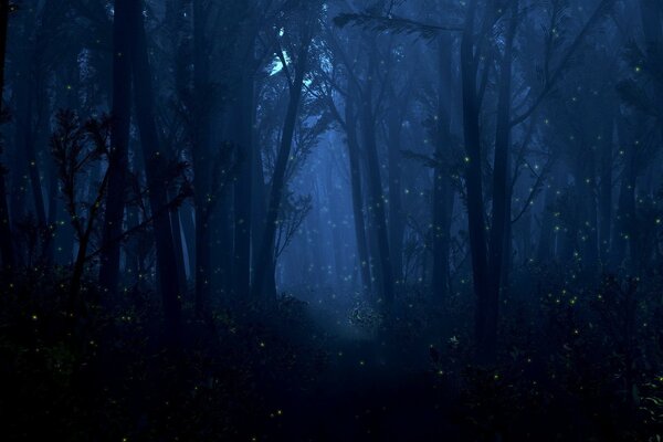 Lucciole nella foresta misteriosa