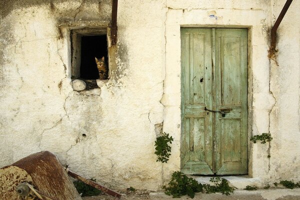 Gatto seduto nella finestra di una vecchia casa