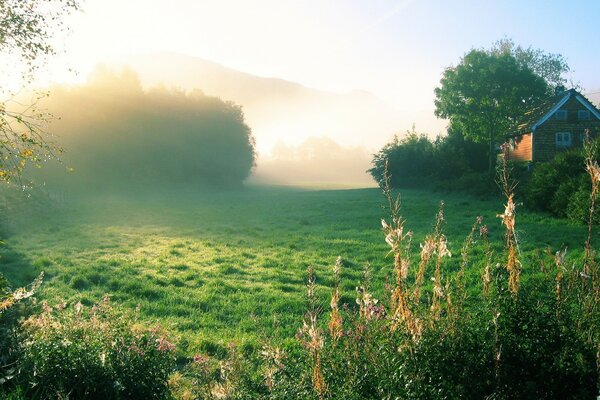 Sonniger Morgen im Dorf