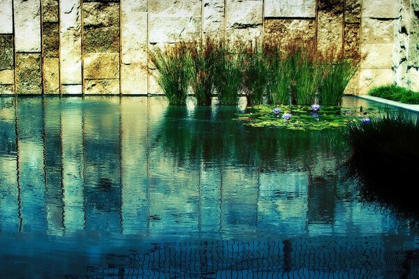 La pared de piedra se refleja en el estanque con hermosas flores