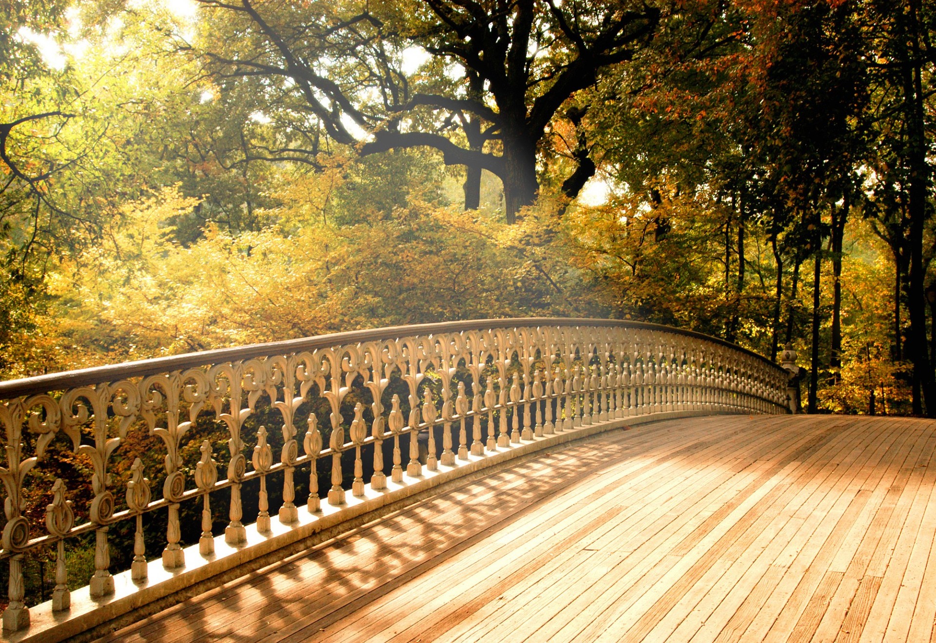 bridge autumn tree