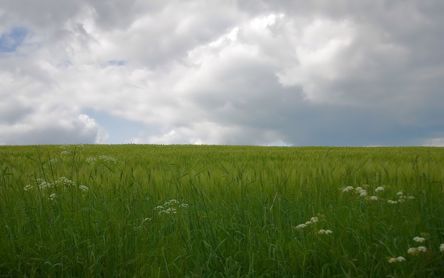 feld grün wolken