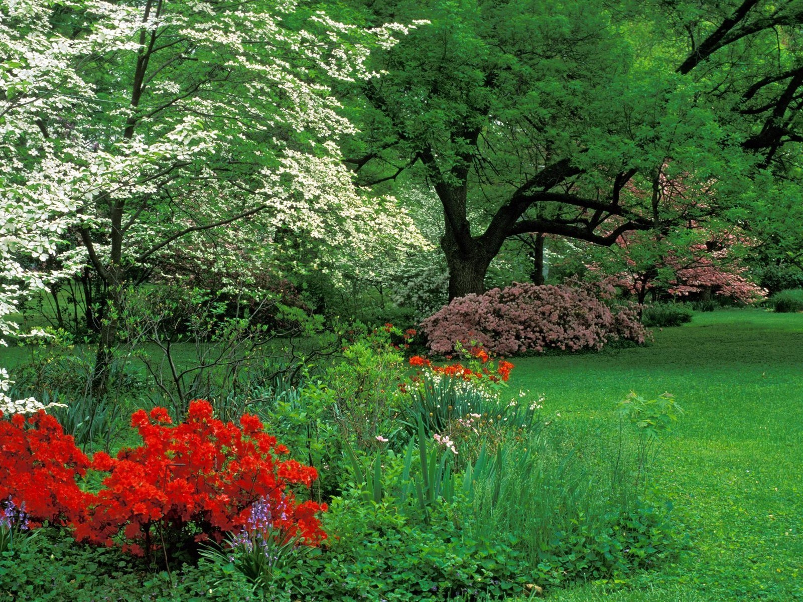 azalées louisville kentucky audubon park