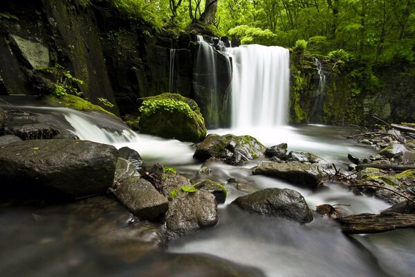 Una pequeña cascada en el bosque. paisaje