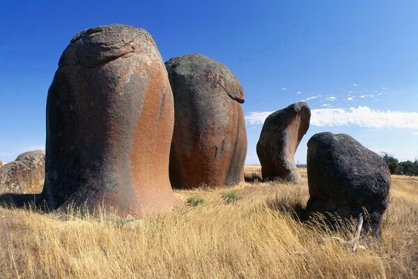 Interesting shaped stones among the grass