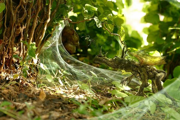 Telarañas blancas sobre hierba verde