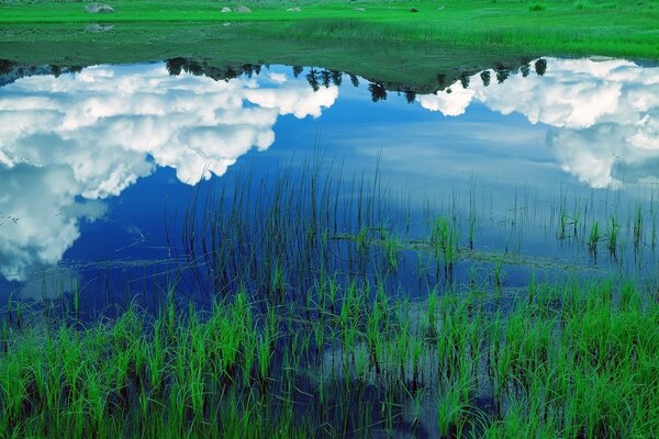 Riflessione delle nuvole in un lago con erba verde