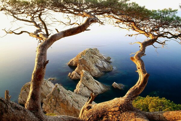 Hermoso paisaje del mar desde la orilla