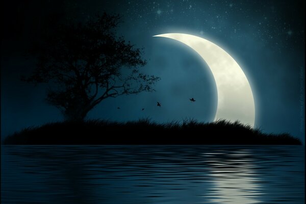 Night island. Moon and stars