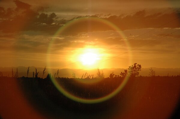 Beautiful sunset over the field