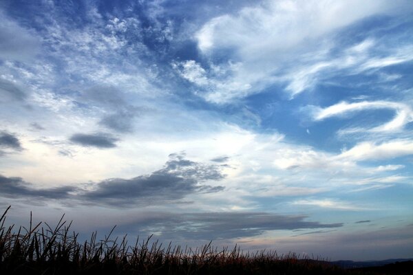 Clouds float across the sky over the field