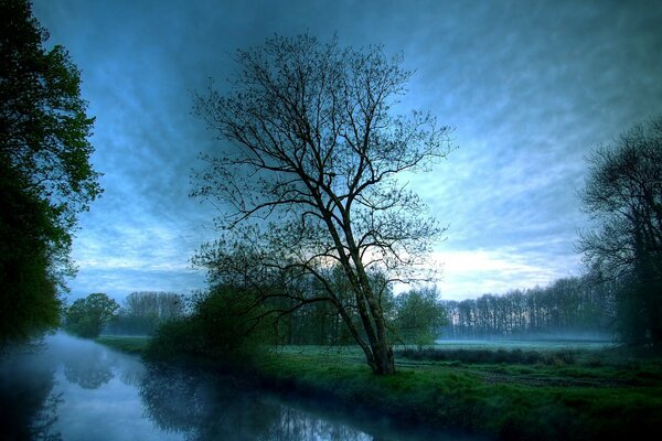 Foggy morning in the fresh air outside the city