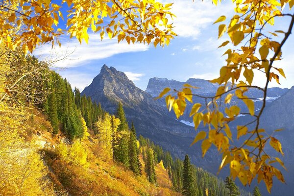 Voyage dans le Montana au parc d automne glacière