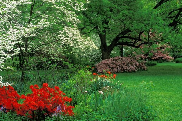 Schöner Tag im Park mit schöner Aussicht