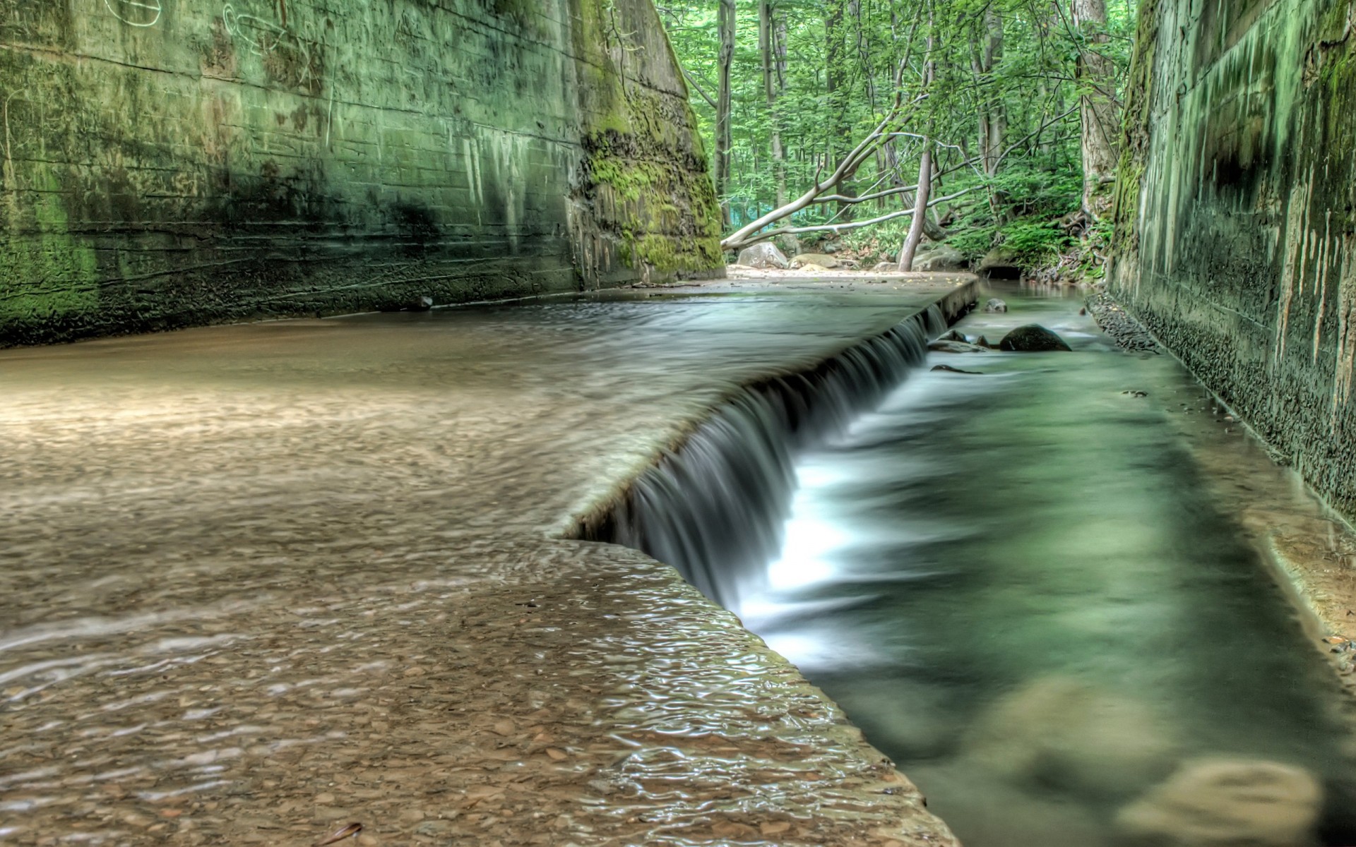 verde paredes agua