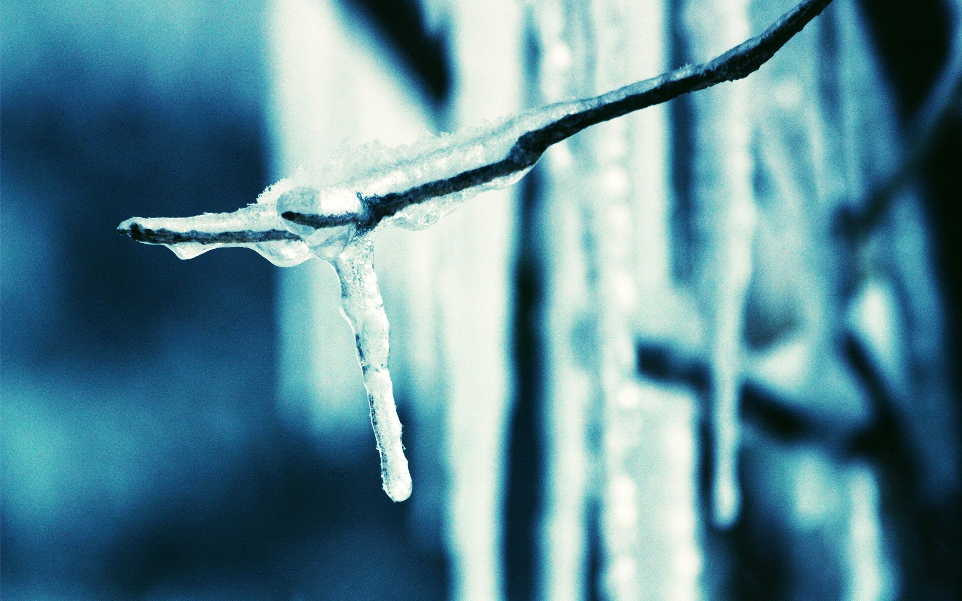 hielo carámbano rama azul