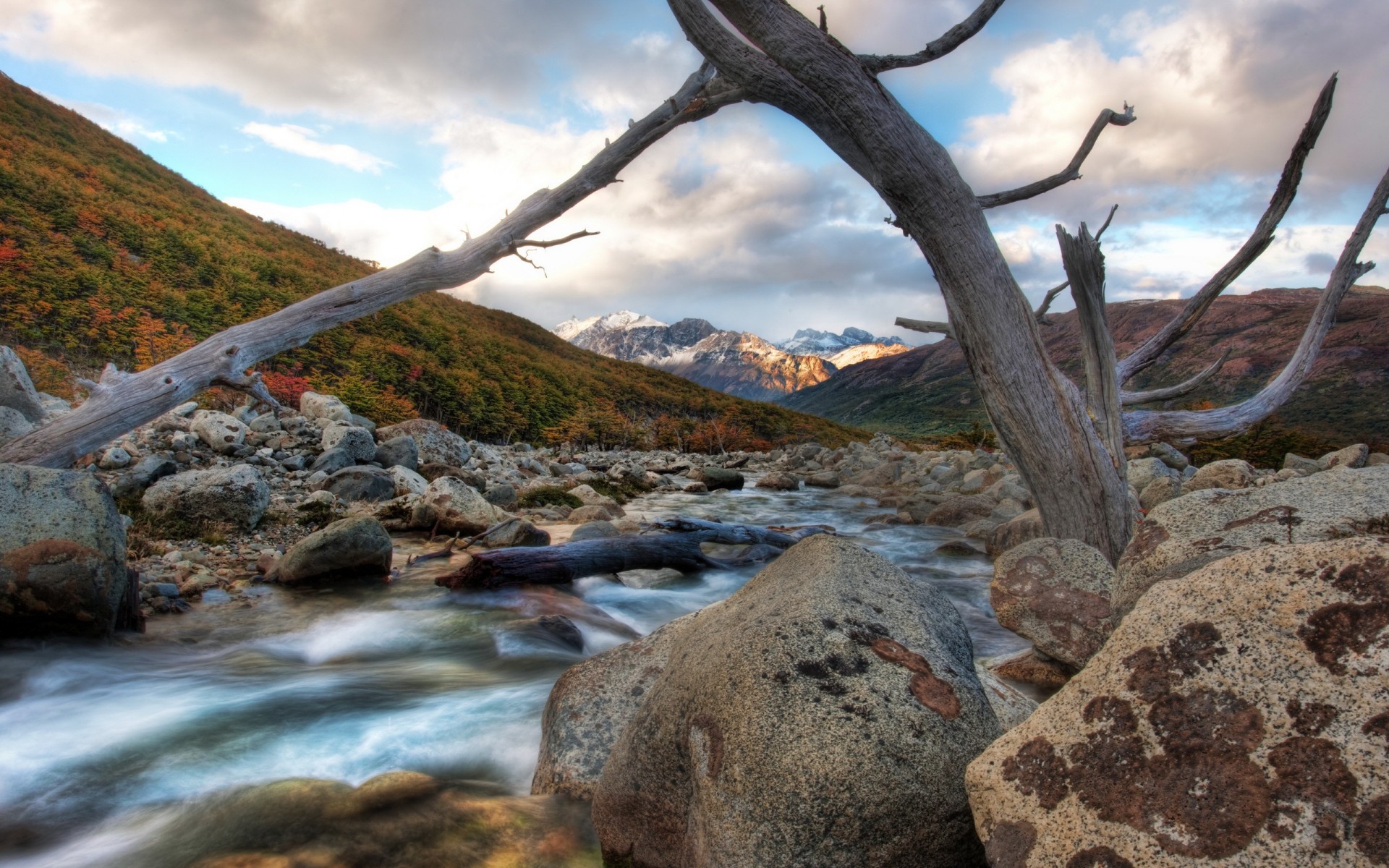 pierres rivière branche montagnes