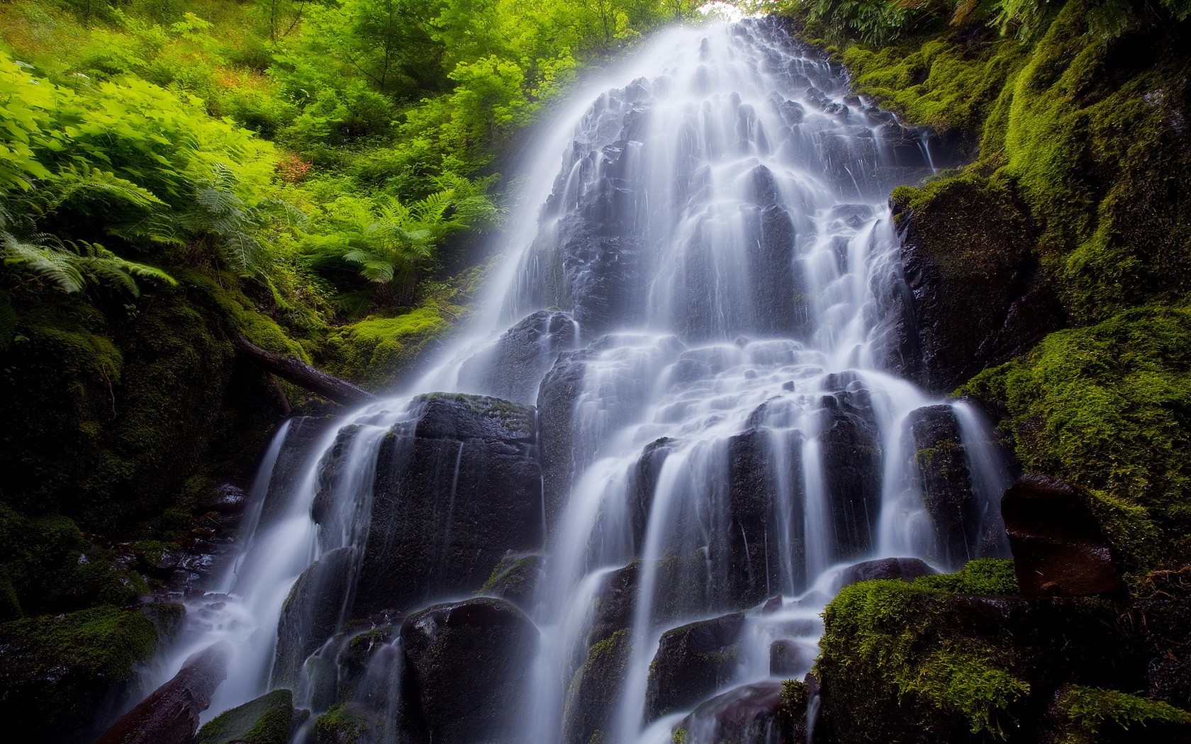 wasserfall steine pflanzen