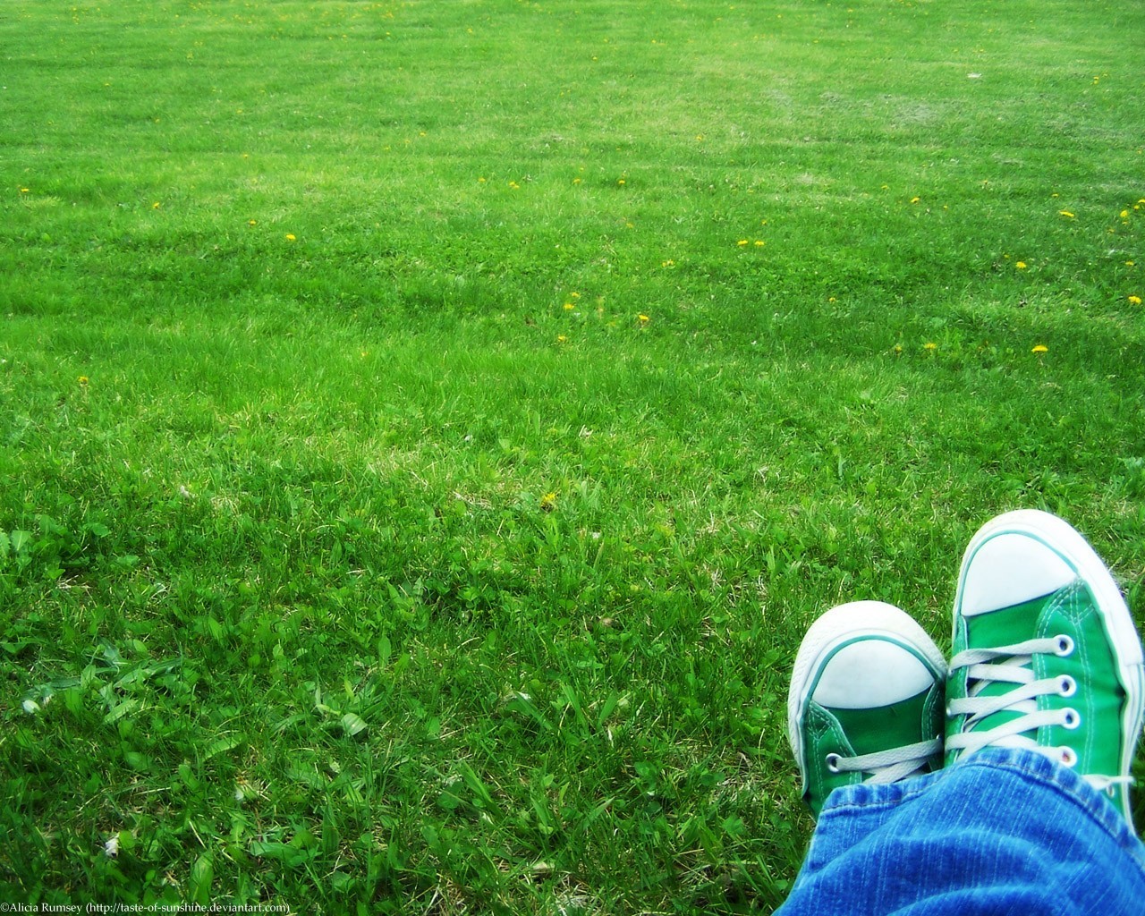 verde scarpe da ginnastica erba