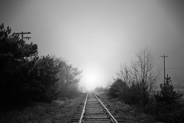 El ferrocarril que sale de la niebla