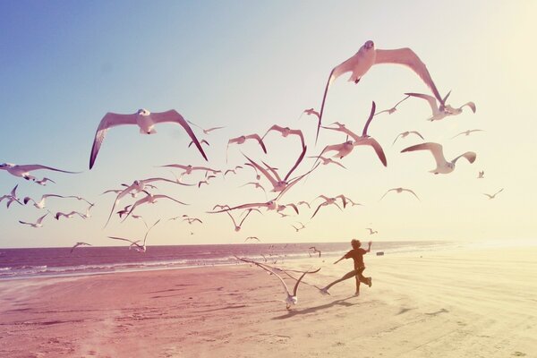 Mouettes sur la plage. Mer. Enfants