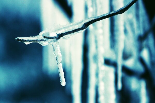 Ein gefrorener Eiszapfen auf einem Ast. Wintertropfen