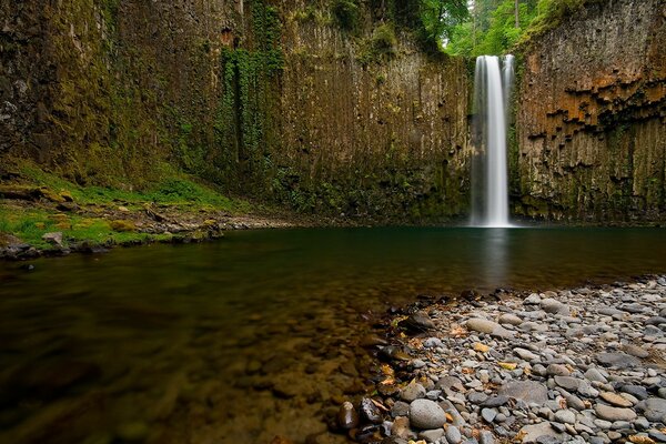 Wald Wasserfall in einem Fluss mit Steinboden