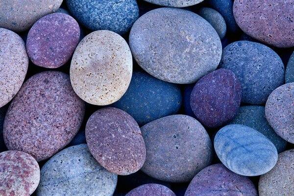 Blue and purple sea stones